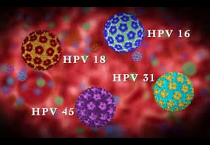 HPV در زنان و مردان
